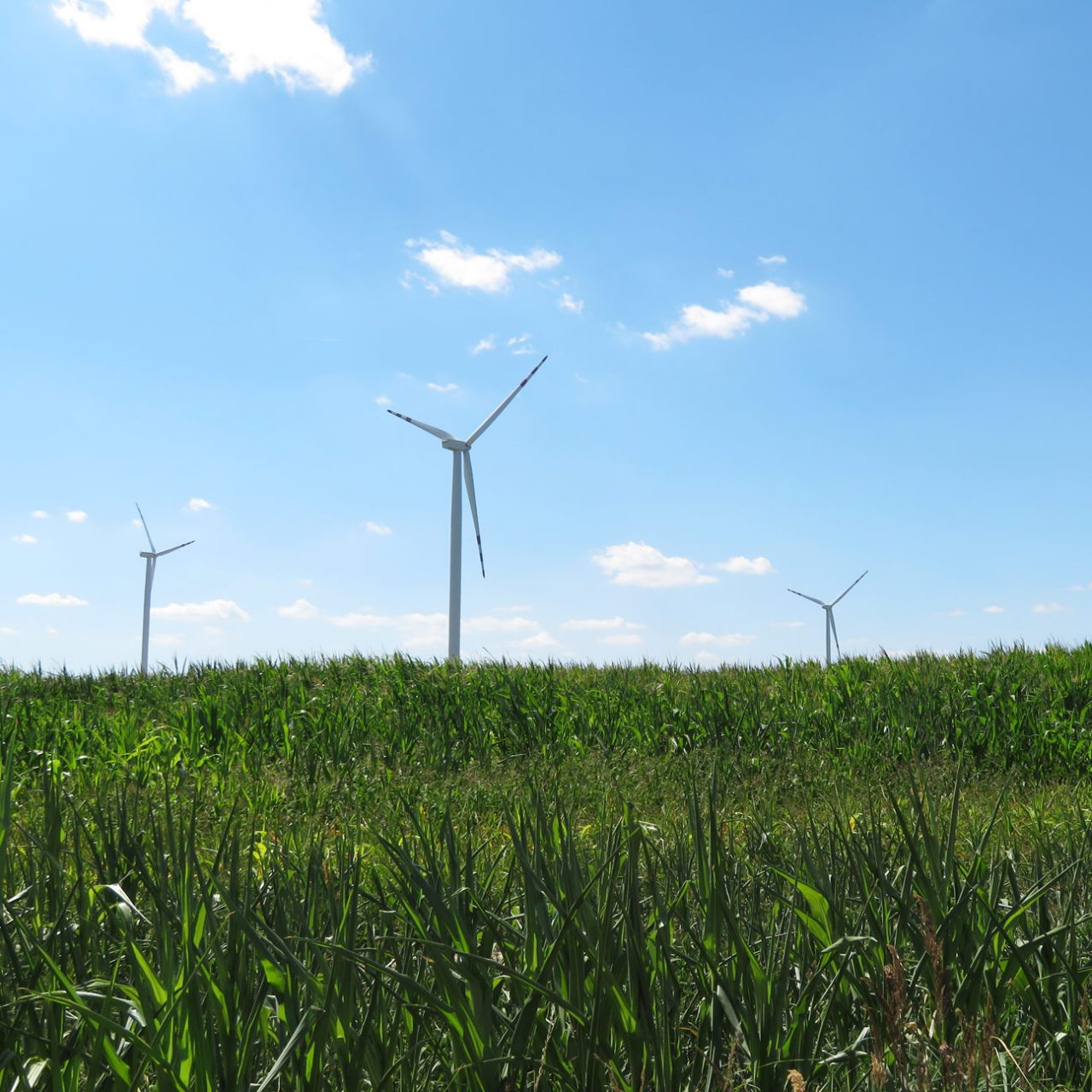 Three wind turbines seen from below against blue sky, with green grass in foreground 