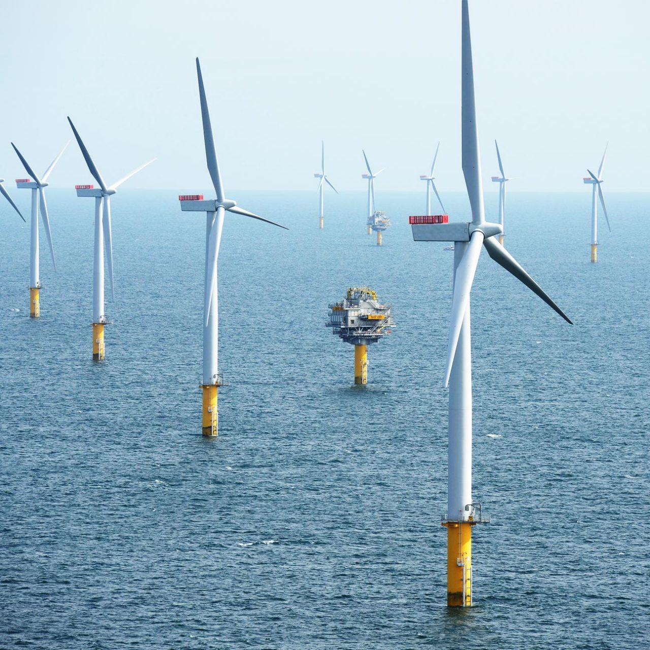 Array of wind turbines in the sea