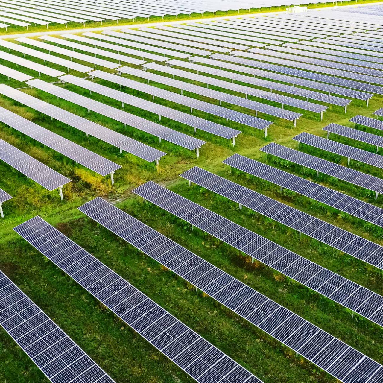 Image of solar panels in a field 