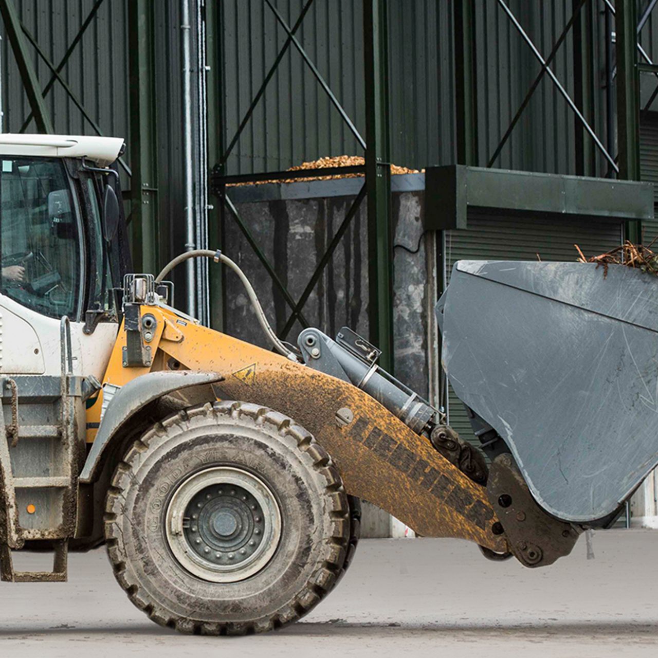 Wood being taken to be chipped