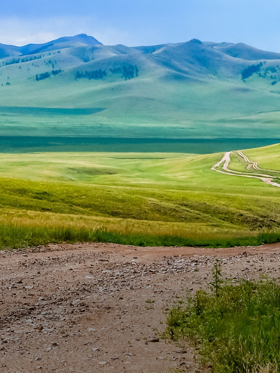 Winding dirt track through lush rolling hills of central Mongolian steppe