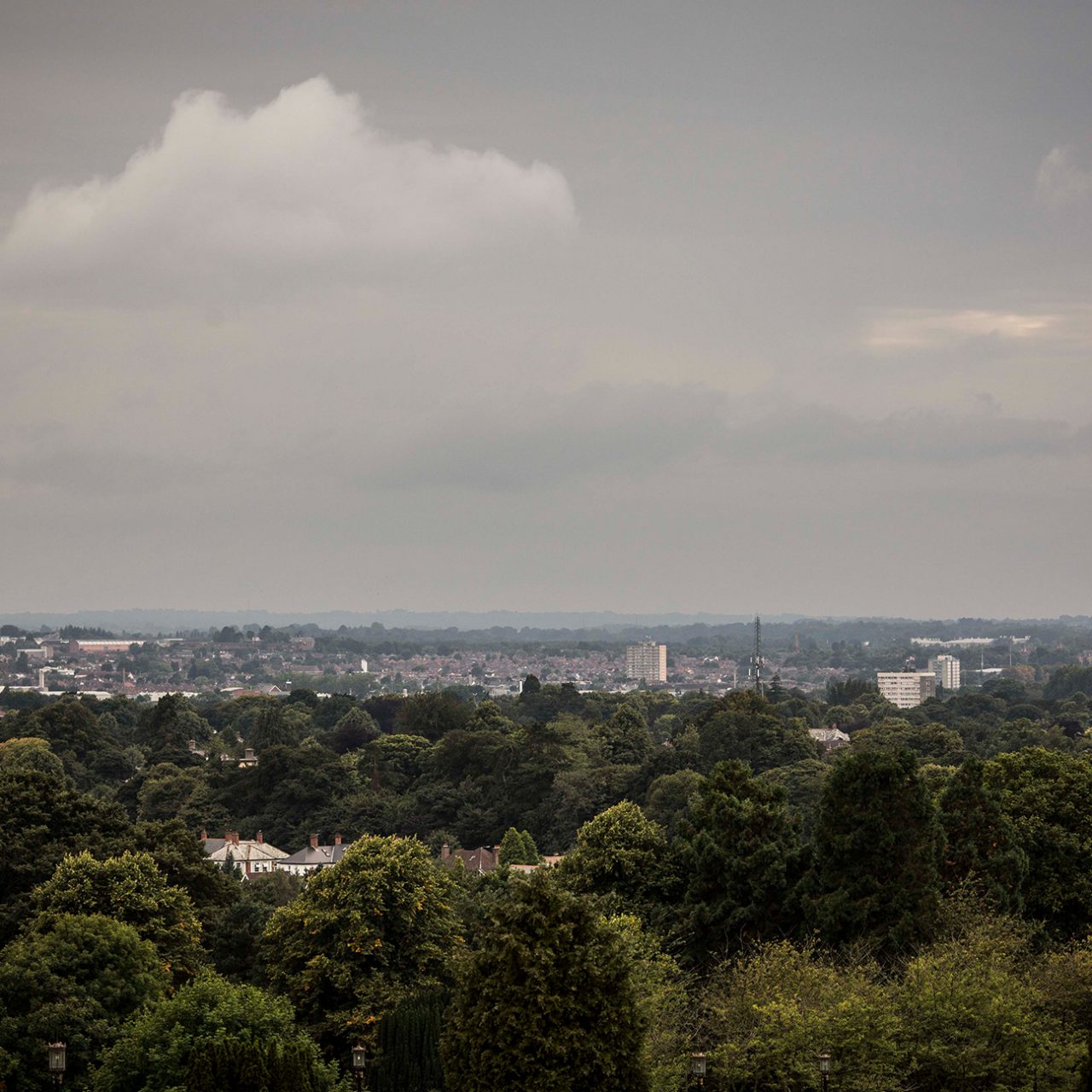 Helping to build a greener Northern Ireland