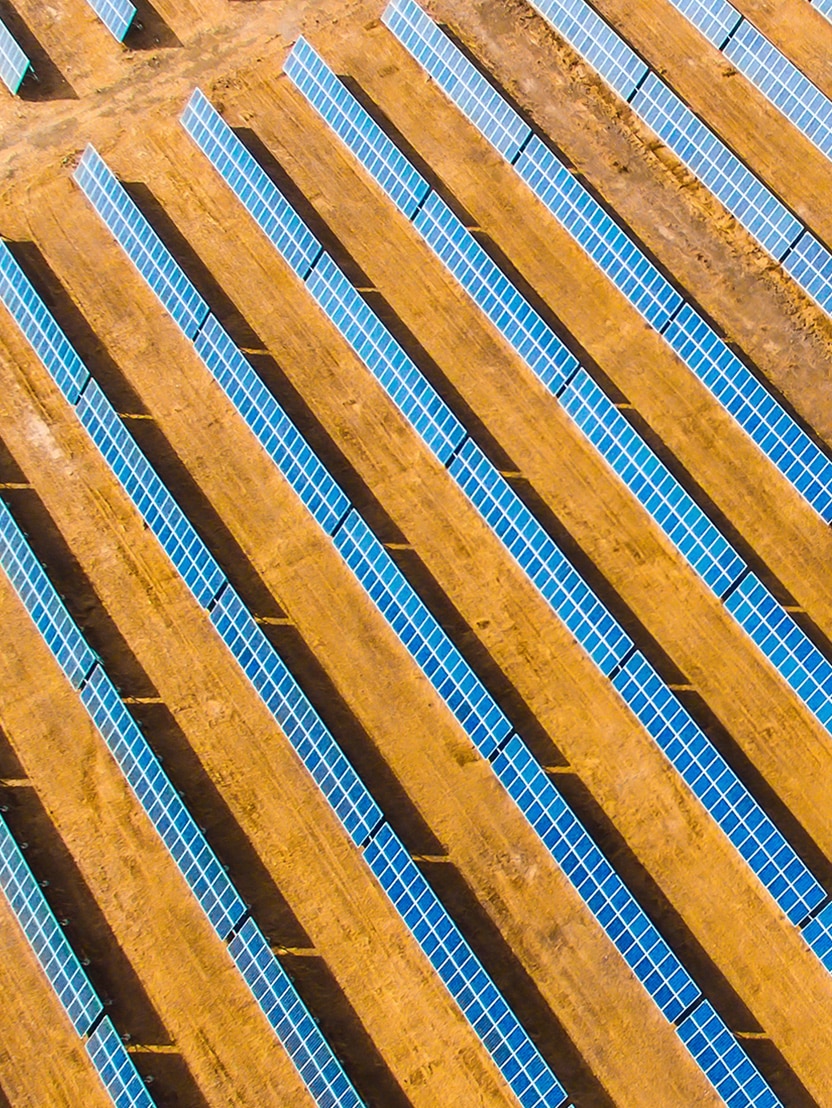 Rows of blue solar panels on orange dirt