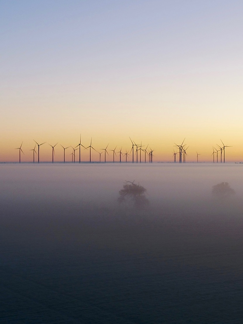 Murra Warra I Wind Farm turbine rise above fog on a misty morning