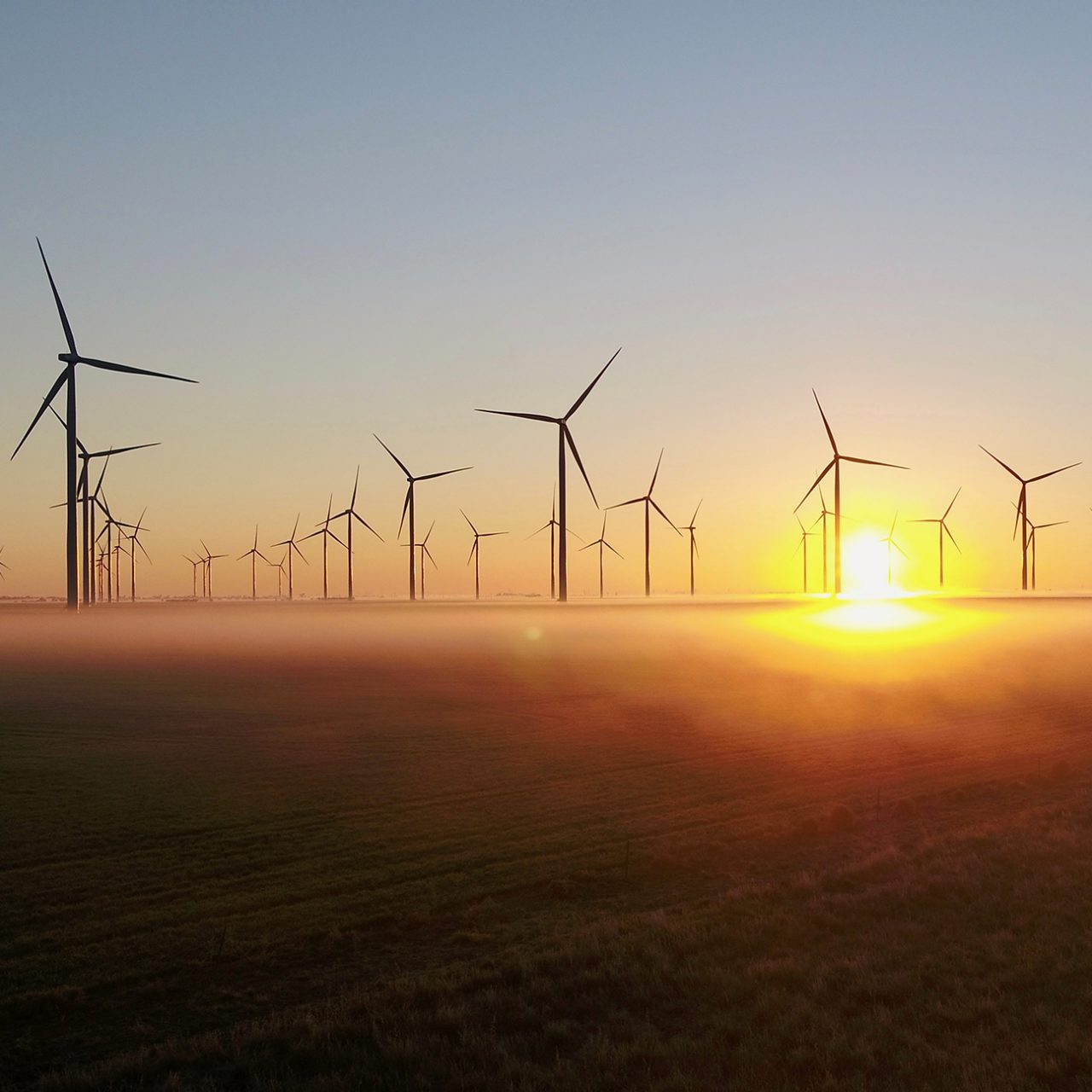 Murra Warra I Wind Farm turbine rise above fog on a misty morning