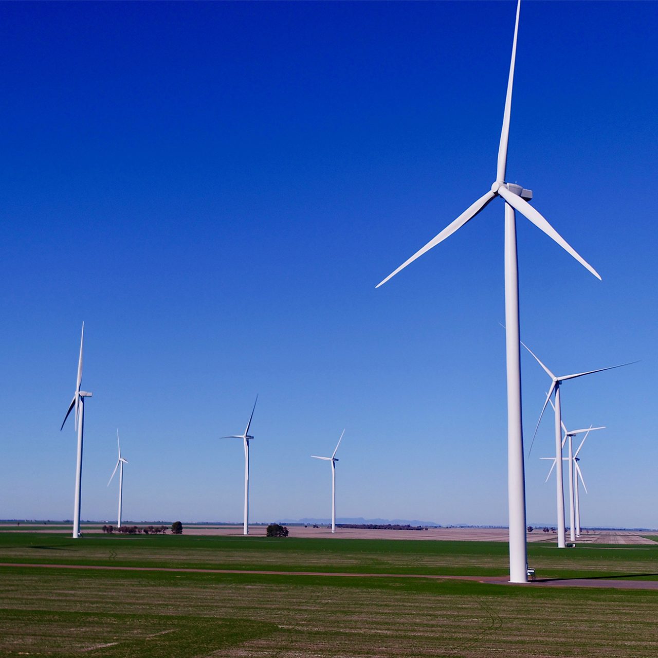 Murra Warra I wind turbines on green grass with bright blue sky