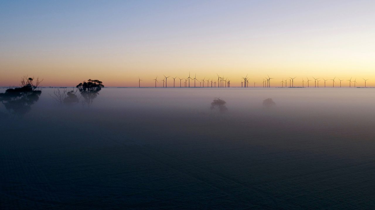 Fog over trees and wind turbines at dawn