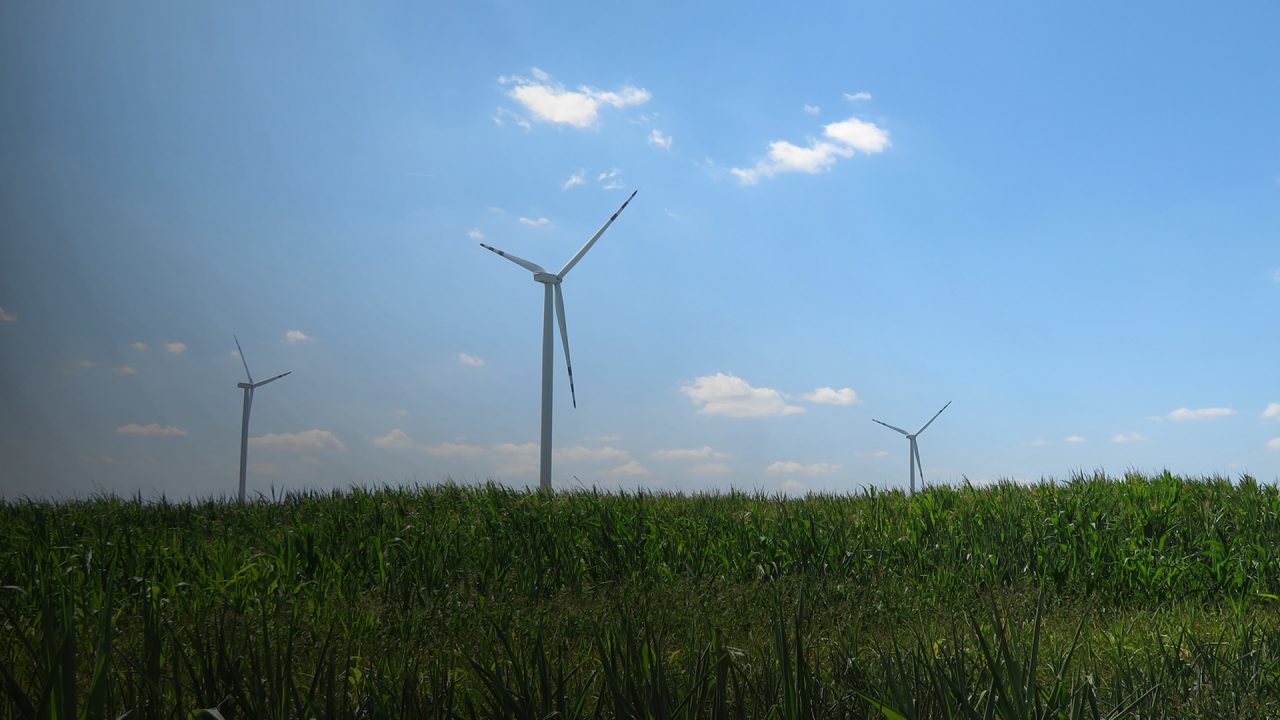 Wind turbines on a green grass hill with blue sky behind