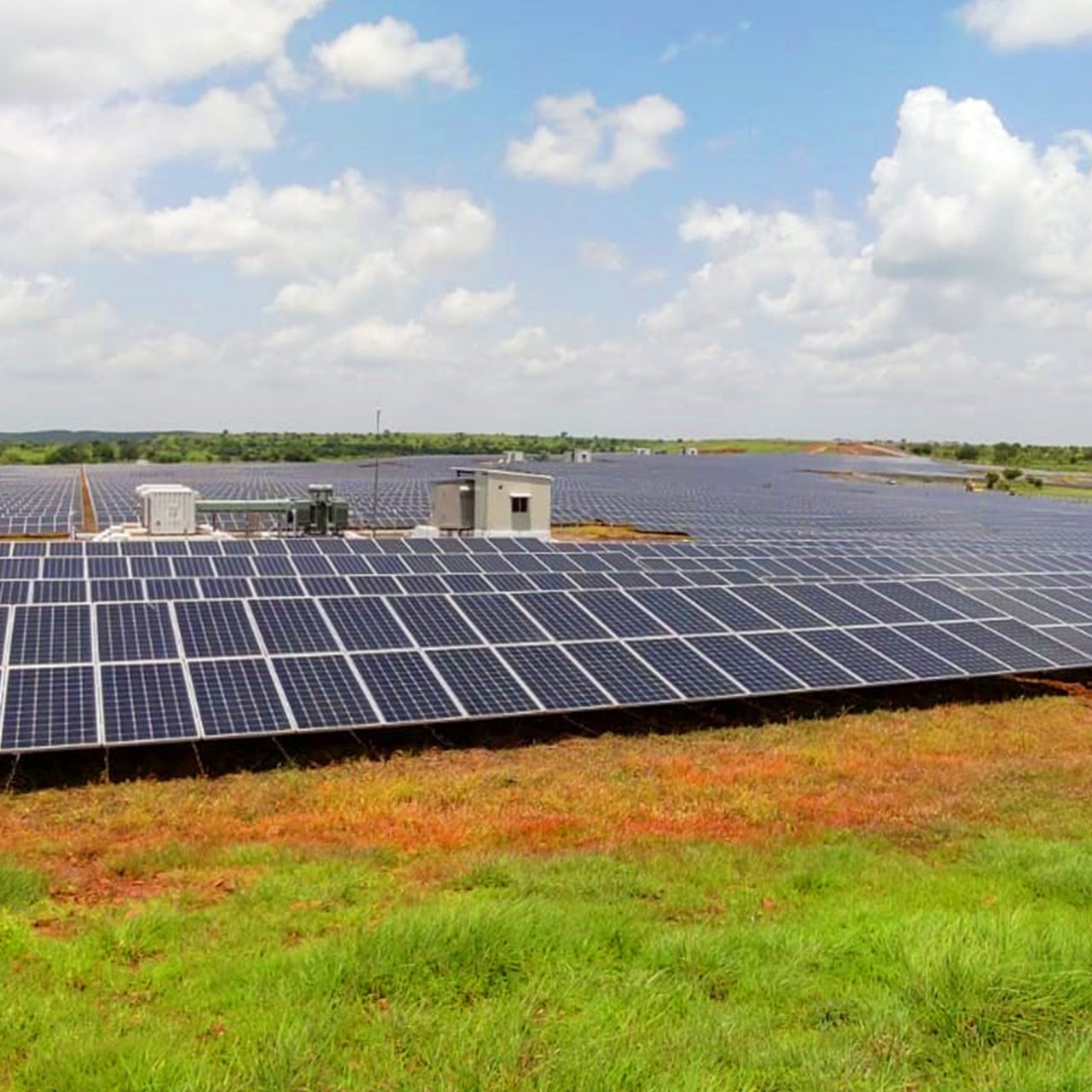 Solar panels in a field surrounded by grass