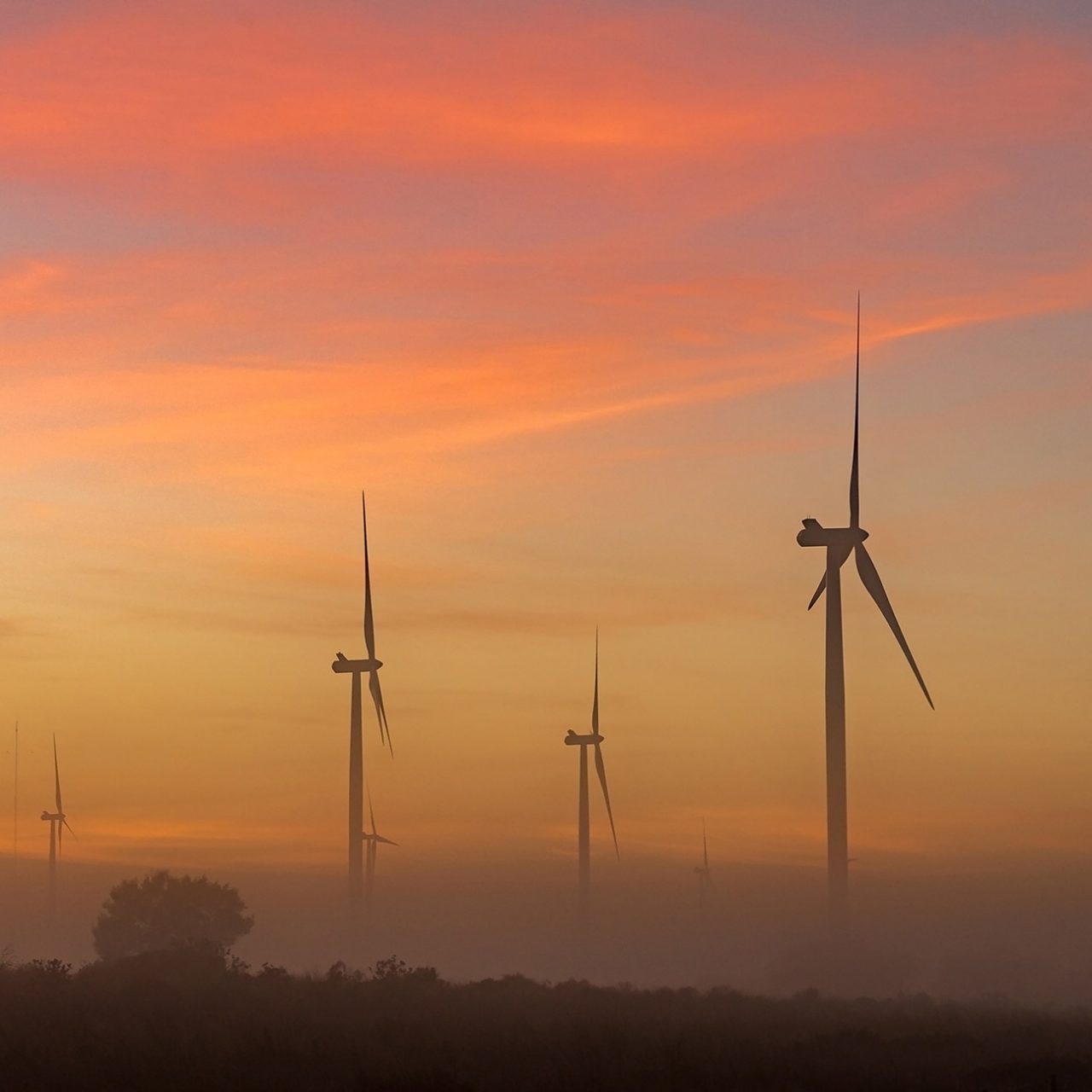 Wind farm